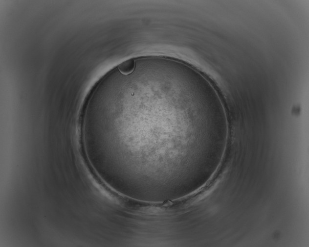 X0000096641517200802121058
