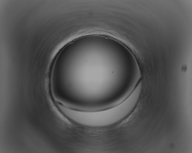 X0000096641518200802121058