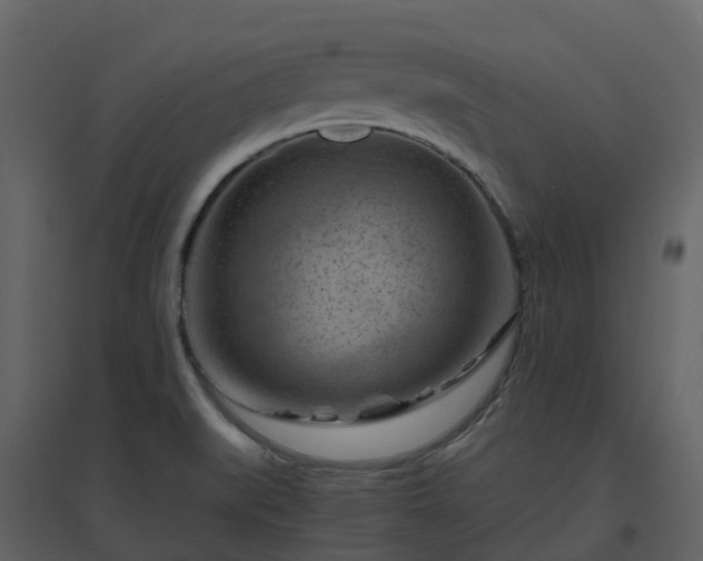 X0000096641519200802121058