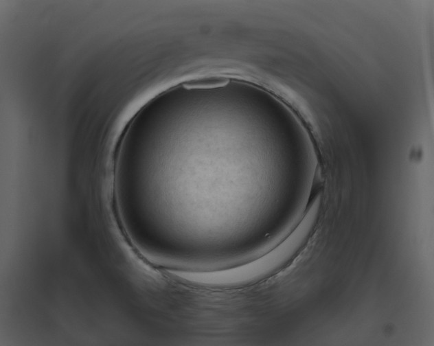 X0000096641520200802121058
