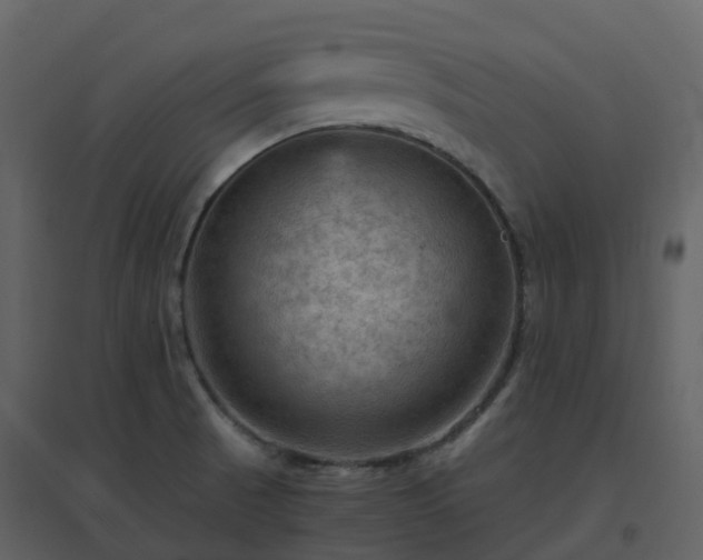 X0000096641521200802121058