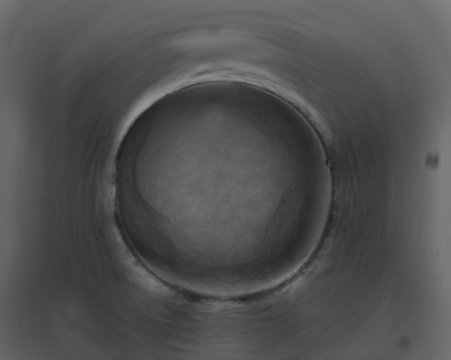 X0000096641522200802121058