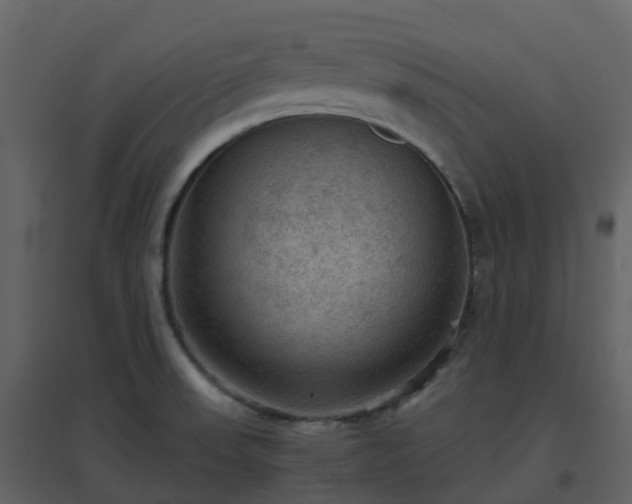 X0000096641523200802121058