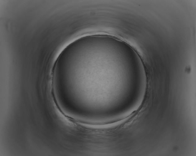 X0000096641524200802121058