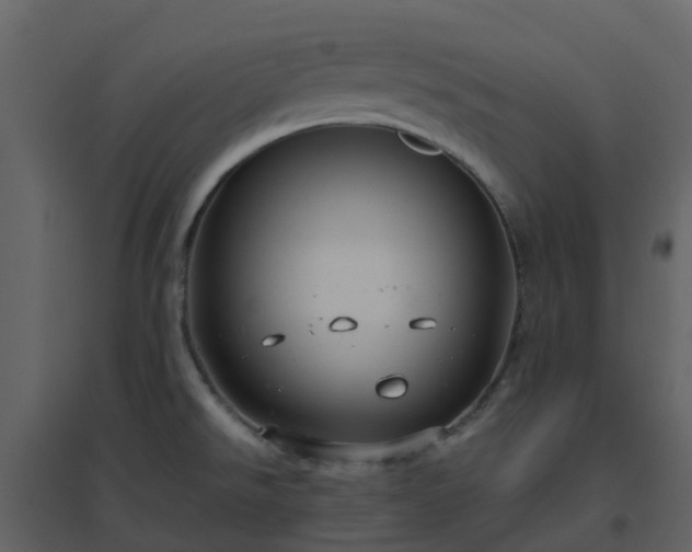 X0000096641526200802121058