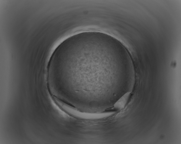 X0000096641527200802121058