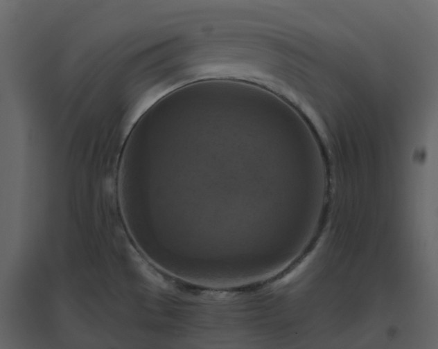 X0000096641529200802121058