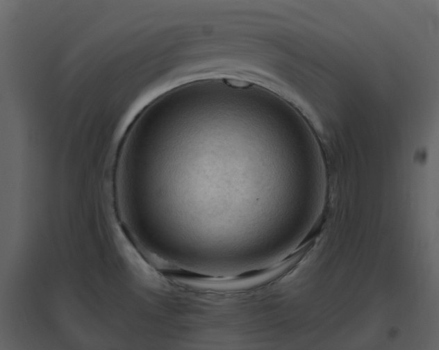 X0000096641530200802121058
