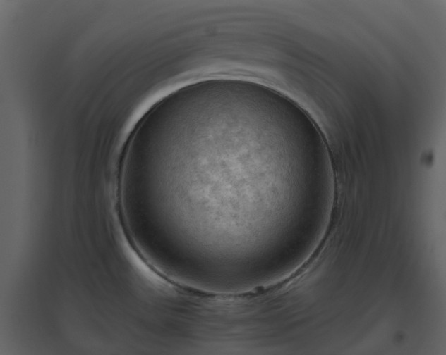 X0000096641531200802121058