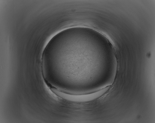 X0000096641532200802121058