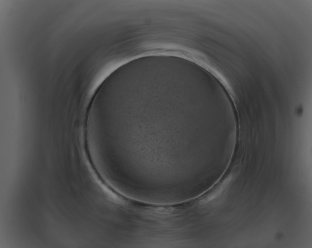 X0000096641533200802121058