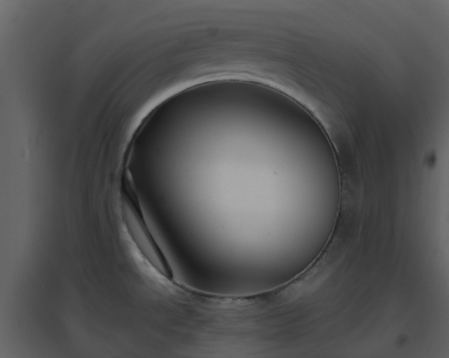 X0000096641534200802121058