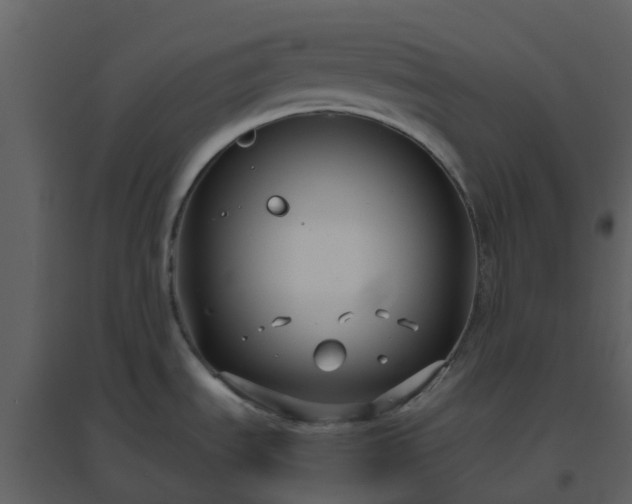 X0000096641535200802121058