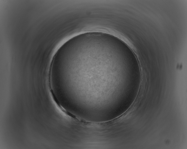 X0000096641536200802121058