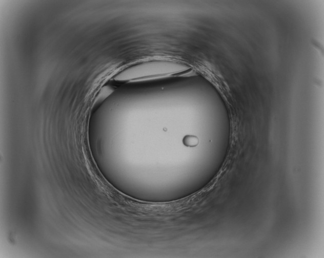 X0000096640001200802191230