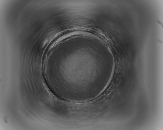 X0000096640002200802191230