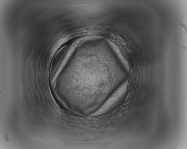 X0000096640003200802191230