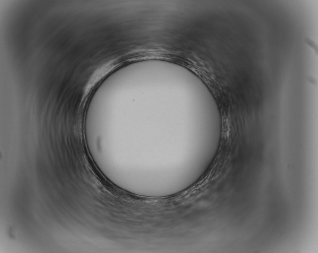 X0000096640004200802191230