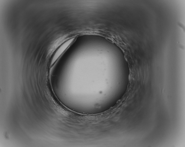 X0000096640005200802191230