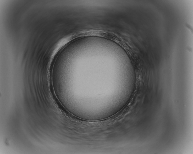 X0000096640006200802191230