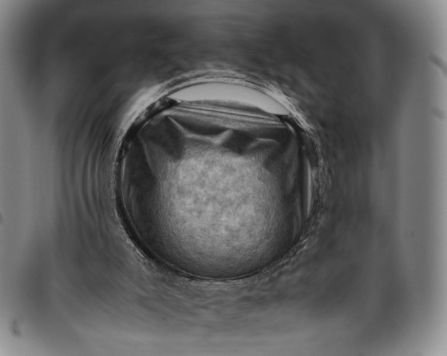 X0000096640007200802191230