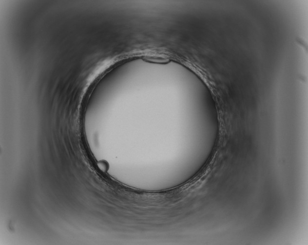 X0000096640008200802191230