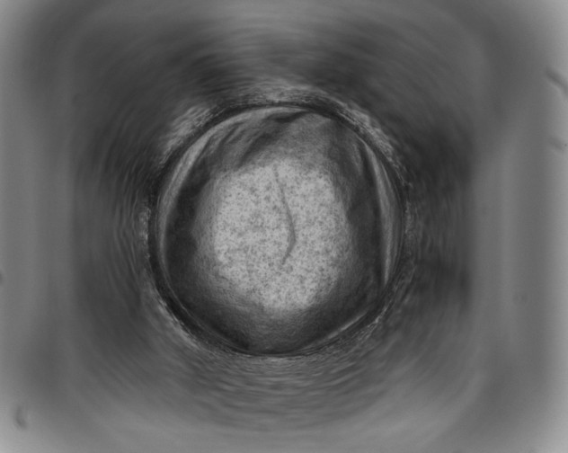 X0000096640010200802191230