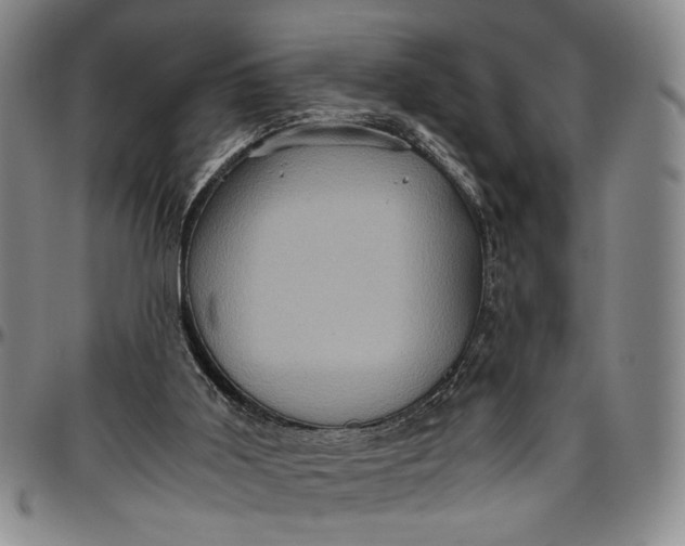 X0000096640011200802191230