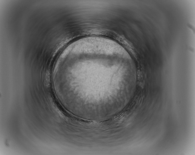 X0000096640012200802191230