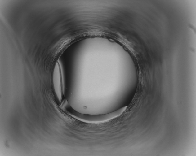 X0000096640013200802191230