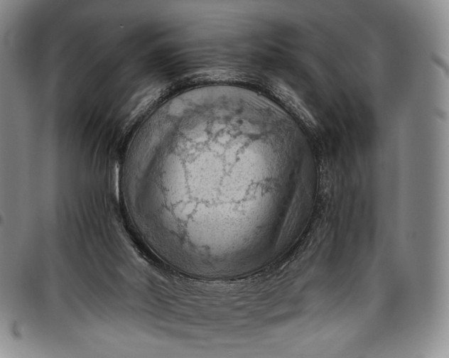 X0000096640014200802191230