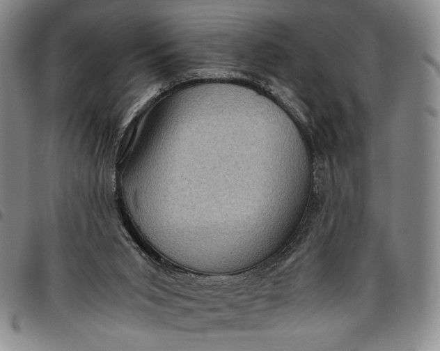 X0000096640015200802191230