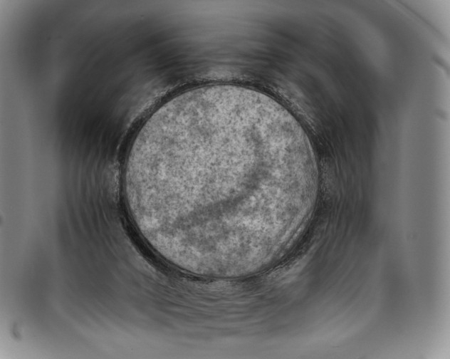 X0000096640016200802191230