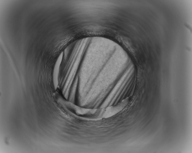 X0000096640017200802191230