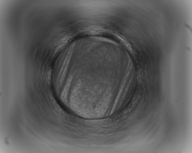 X0000096640018200802191230