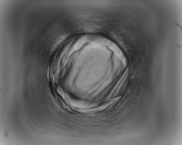 X0000096640019200802191230