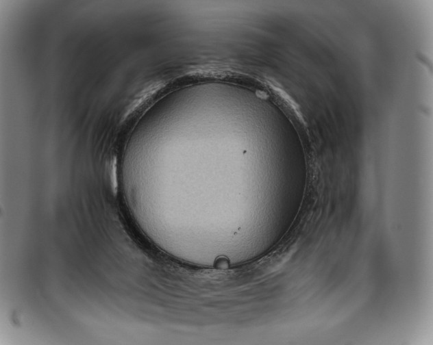 X0000096640020200802191230