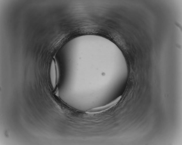 X0000096640021200802191230