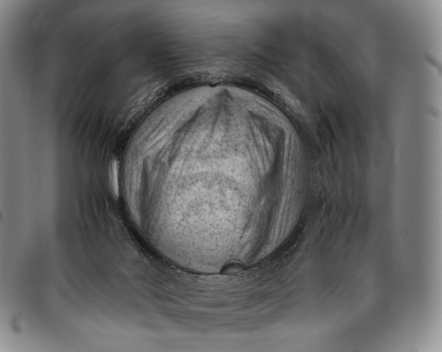 X0000096640022200802191230