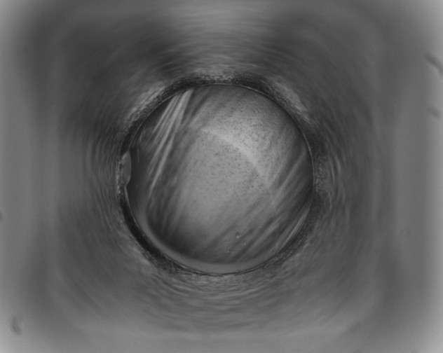 X0000096640023200802191230