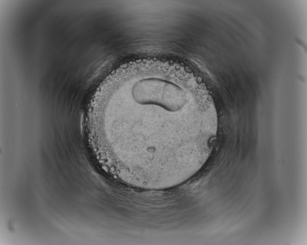 X0000096640024200802191230