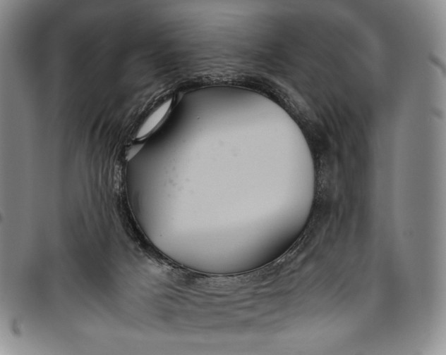 X0000096640025200802191230