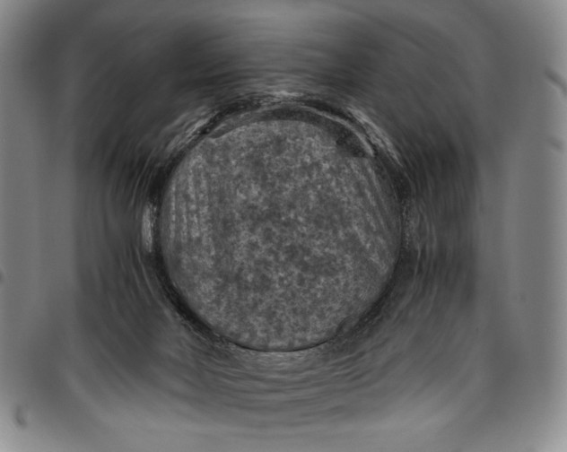 X0000096640026200802191230