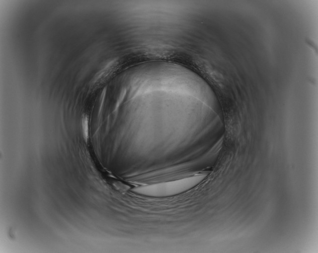 X0000096640027200802191230