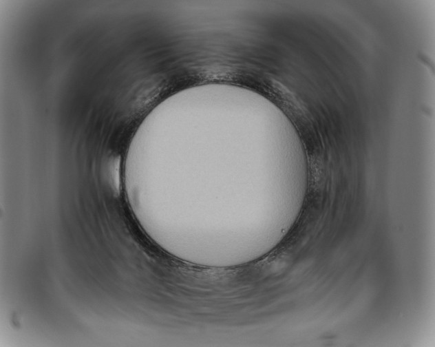 X0000096640028200802191229