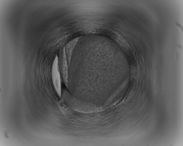 X0000096640029200802191229