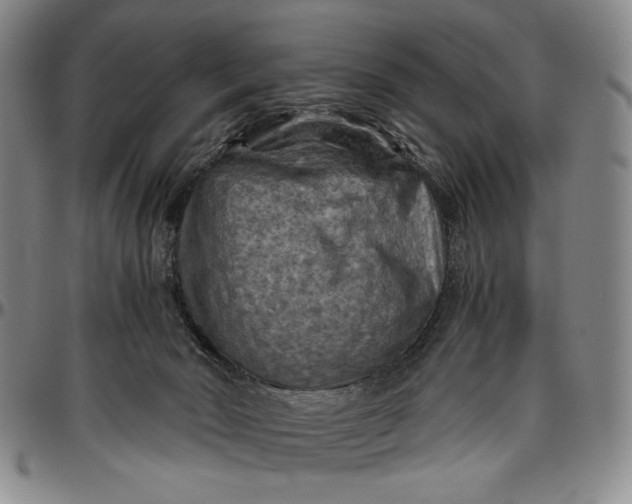 X0000096640030200802191229