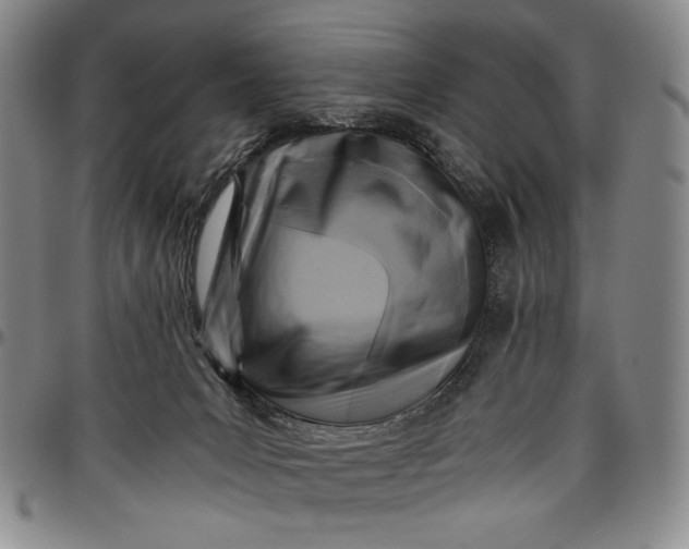 X0000096640031200802191229