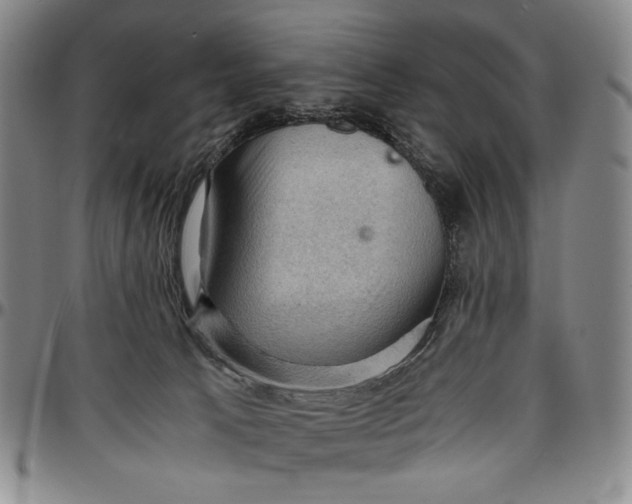 X0000096640033200802191229