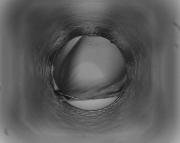 X0000096640035200802191229